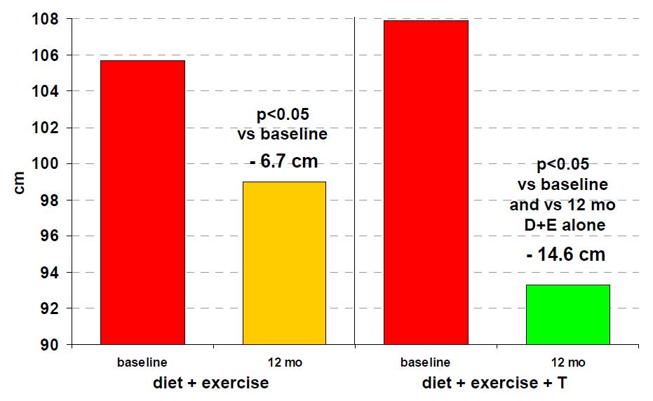 Veränderung des Bauchumfangs durch Lebensstil mit und ohne Testosteron Einfluss von Lifestyle (Ernährung/Sport) mit und ohne Testosteron (Testosteron-Gel 50 mg/d) auf den Bauchumfang bei