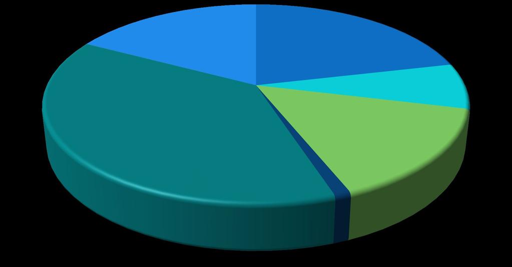 Verteilung der Deliktsgruppen Straftaten geg. d. Leben;,2% Vermögens-/ Fälschungsdelikte; 17,24% Sonstige Straftatbestände; 21,38% Strafrechtl.
