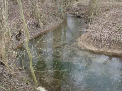 (NW) Fotos von Beispielgewässern: Abbabach (NW). Foto: LANUV NRW Ahse (NW).