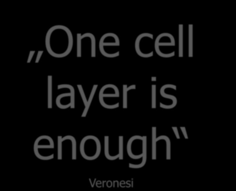 One cell layer