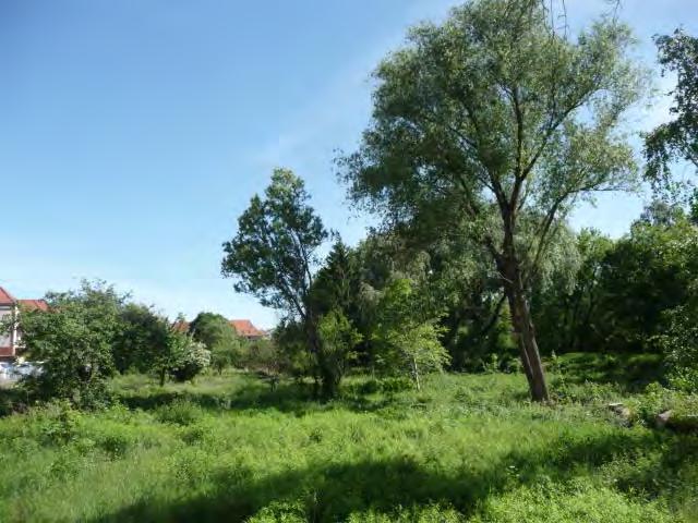 Ruhestätten für Fledermäuse und Vögel Zerstörung temporärer Fortpflanzungsstätten von am Boden und in Gehölzen brütenden Vögeln ggf.