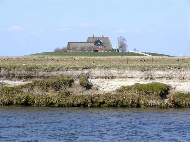 Wachsen mit dem Meer Halligen CWSS Bei jeder Überflutung