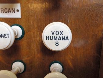 ? Was ist Vox humana?