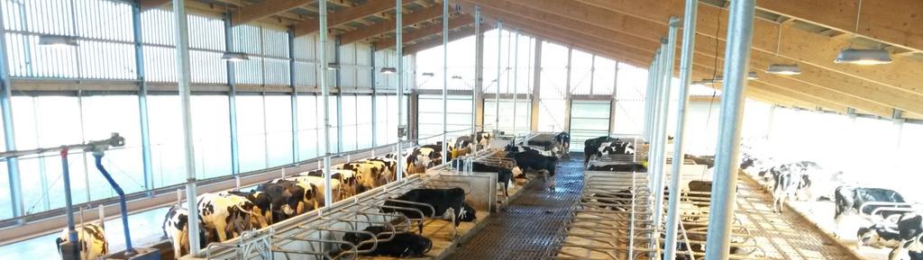 Ökonomische und produktionstechnische Analyse der Milchproduktion und Färsenaufzucht Jahresbericht 2015 Forschungsnummer