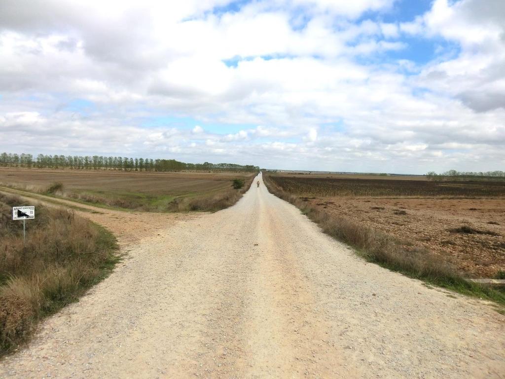 Kurzentschlossen entscheide ich mich doch noch die 18 km durch die Meseta (span. Hochebene) nach Calzadilla de la Cueza zu pilgern. Meseta pur!