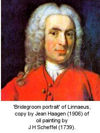 Stammbäume versus Klassifikation Carl Linnaeus, ca.
