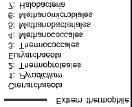 Der phylogenetische Stammbaum aller Lebewesen nach Sequenzvergleichen der ribosomalen 16 (bzw.