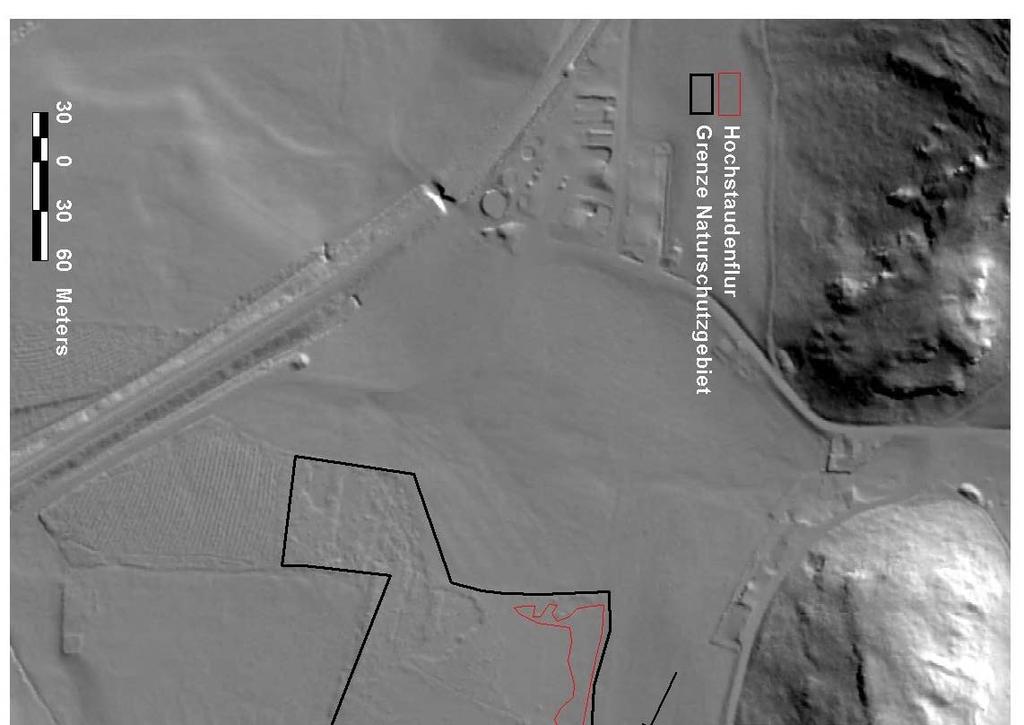 Abbildung 14: Laserscan der direkten Umgebung des NSG Radinger Mooswiesen.