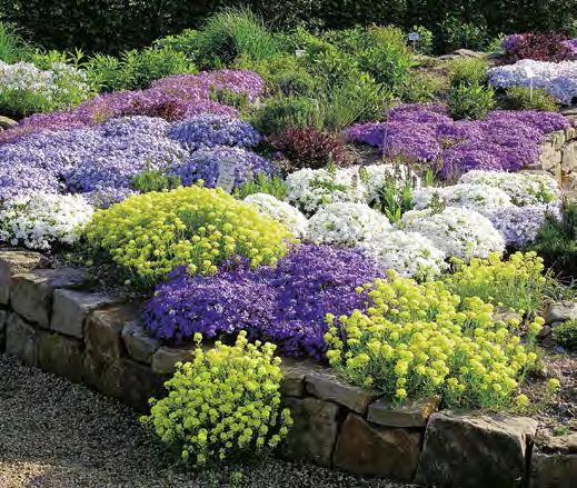 Mit diesen Kissen lassen sich unschöne Gartenecken kaschieren und Stammrosen oder Clematis unterpflanzen.