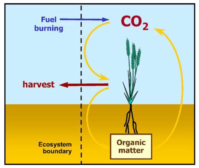 2 -Emissionen C-Bindung von Böden