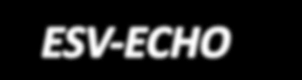 ESV-ECHO Ausgabe vom 8. Oktober 2017 Berichte und Informationen vom Fußball-Spielbetrieb und aus dem Vereinsgeschehen des ESV 1927 e.v. Ronshausen www.esvronshausen.