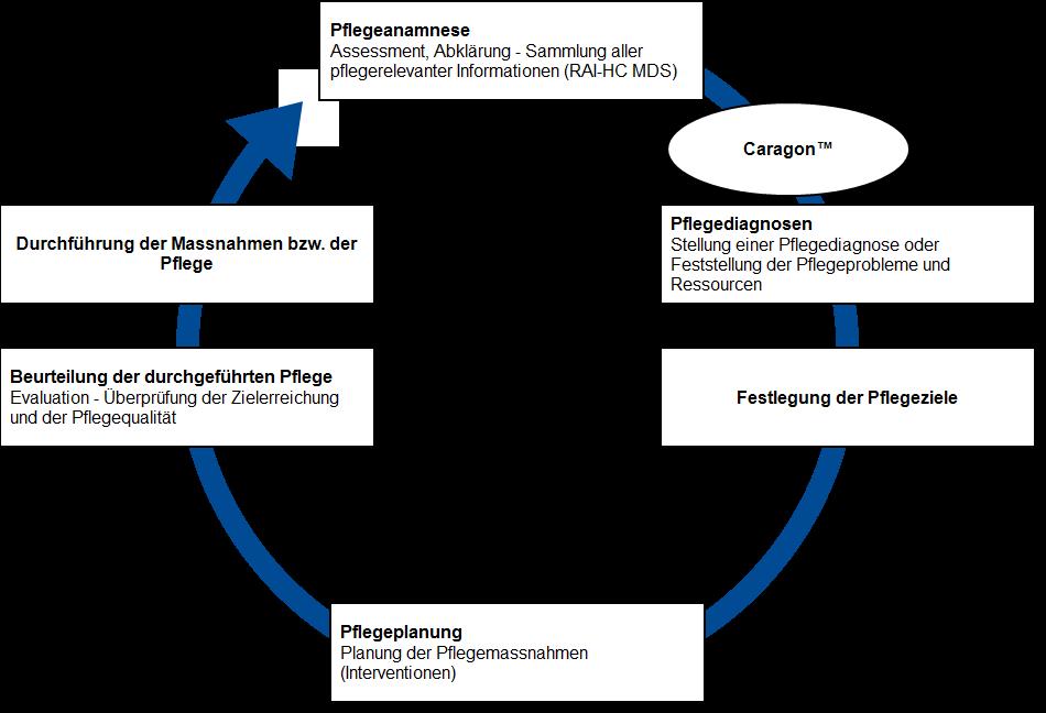 1 Allgemeine Informationen - 1.1 Informationen zum Ablaufdiagramm 1.1.2 Caragon -Assessment-Varianten Zur Erstellung eines neuen Assements stehen die beiden Varianten Assessment ohne bewertete Merkmale und MDS zur Verfügung.