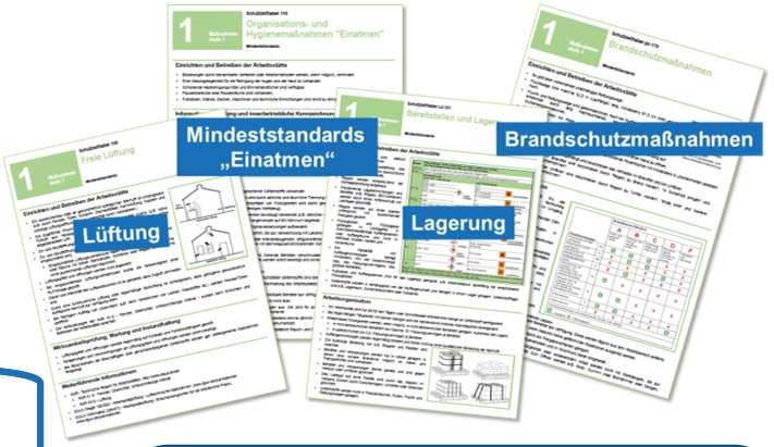 Festlegung von Schutzmaßnahmen Unter Berücksichtigung des gestuften Maßnahmenkonzeptes der Gefahrstoffverordnung G E F Ä H R D U N G