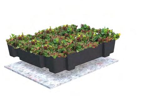 Die Sedumpflanzen sind in der Kassette bereits vorbepflanzt, wodurch Ihr Dach sofort grün ist.