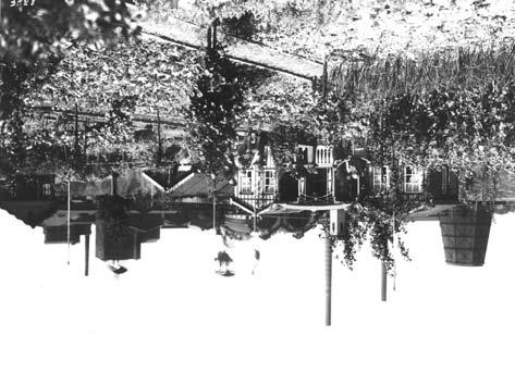 ROSEN, RASEN UND RABATTEN 1906 Die ersten Schrebergärten im Revier Dortmunder Gartenfreunde griffen die Idee des Arztes Dr.