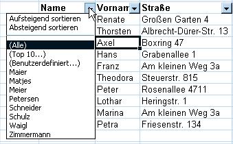 .. Dann... Sonst...... 234 Arbeitsblätter benennen... 244 Von Arbeitsblatt zu Arbeitsblatt kopieren... 245 Von Arbeitsblatt zu Arbeitsblatt rechnen... 247 Tipps zum Kapitel.