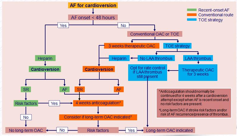 Kardioversion, TEE und Antikoagulation in den Leitlinien