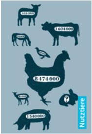 Nutztiere Indem du Tabellen und Grafiken erstellst und Prozentrechnungen durchführst, erfährst du Wissenswertes über unsere Nutztiere und ihre Produkte.