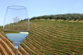 ) Gegen Aufpreis kann auch auf einem Weingut außerhalb von Stellenbosch übernachtet werden.