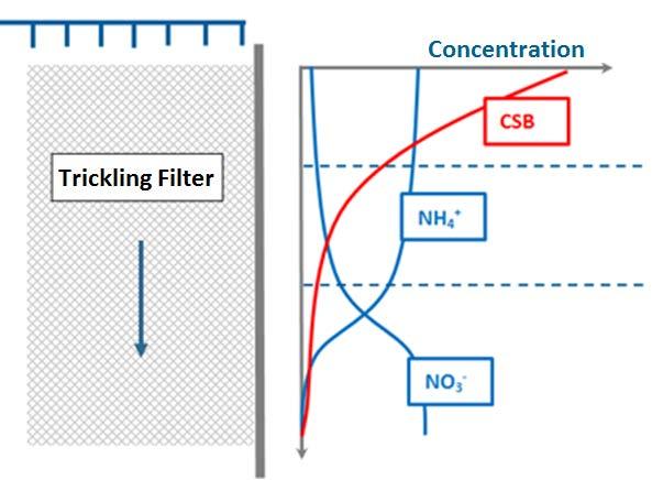 4.3 Tropfkörper Anpassung und Validierung von bestehenden Bemessungsansätzen nach Velz und nach Gujer & Boller Einführung eines Übergangsbereichs für die einsetzende Nitrifikation C-Abbau: