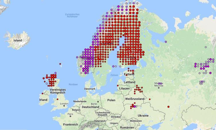 Brutgebiete in Europa siehe Karte am Klingi als Durchzügler August bis anfangs November