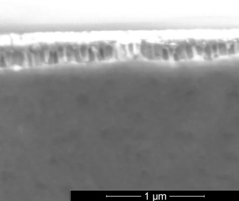 185 Appendix Figure A.24. SEM images of 25 (left) and 45 (right) tilt samples of Al 2 O 3 nanopores on ITO after pore widening for 60 min by 5 wt% H 3 PO 4 at room temperature.