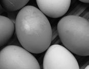 Ostereier bemalen und Eierspeis essen Lassen Sie Ihren Ideen freien Lauf. Bemalen und gestalten Sie Eier mit bunten Farben und Mustern.