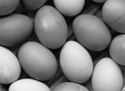 April 2019 10:00 Uhr 13:00 Uhr Geld für Getränke Ostereier färben Gestalten Sie hart gekochte Eier schön