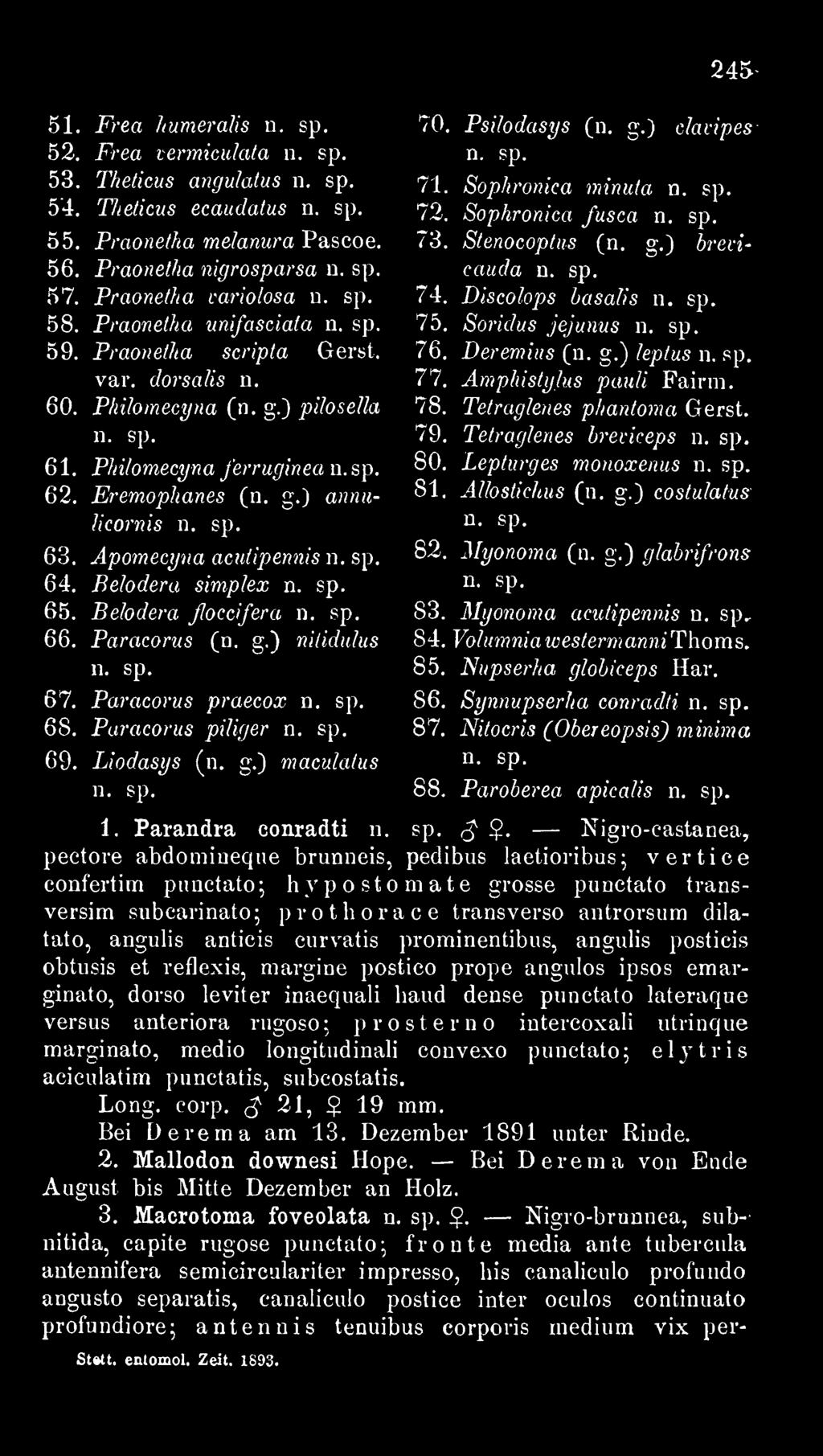 Eremophanes (n. g.) amm- Jicornis n. sp. 63. Apomecyna acuiipennis n. sp. 64. Belodera simpkx n. sp. 65. Be/odera JJoccifera n. sp, 66. Paracorus (ja. g.) nitidulus n. sp, 67.