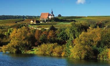 Hier werden Rebsorten wie Müller-Thurgau, Silvaner, Scheurebe,