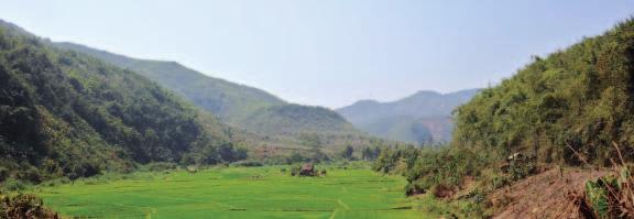 LAOS 67 Dschungel von Nordlaos Im äussersten Norden von Laos liegt die gebirgige Provinz Luang Nam Tha.