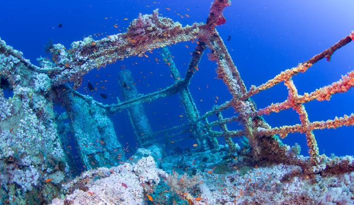 John Reef Sha ab Sharm Fury Shoal Dolphin Reef (Sataya) Marsa Shouna MARINEPARK NORD Brothers,