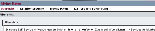 Register Bannermenü Schaltflächen / Symbole Meine Daten ist in folgende vier Register unterteilt. Um zum gewünschten Bereich zu wechseln, klicken Sie auf das Register: 1.