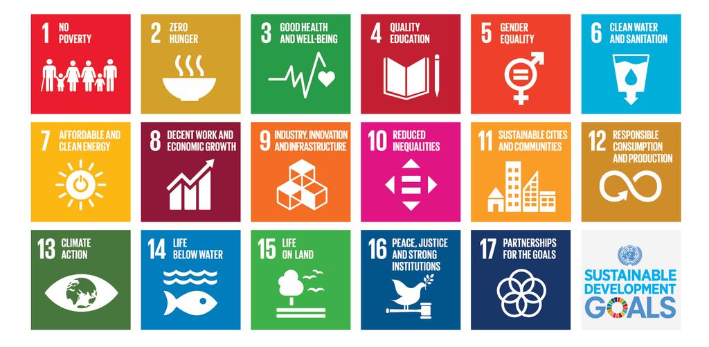 Was sind die Sustainable Development Goals (SDGs)? 4 Im September 2015 haben sich die Länder der United Nations (195 Mitgliedsstaaten) auf die Agenda 2030 zur nachhaltigen Entwicklung verständigt.