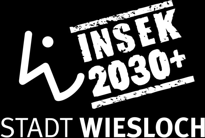 INSEK 2030+ der Stadt Wiesloch Institut