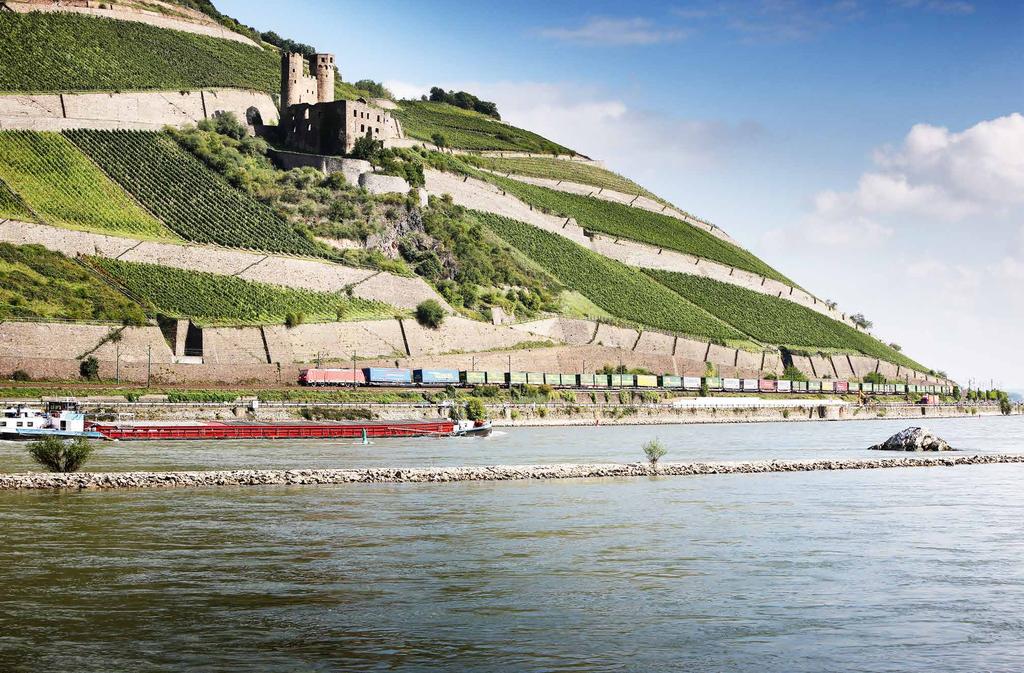 Der Rhein am Binger Loch mit Lochsteinen, mit der Burgruine