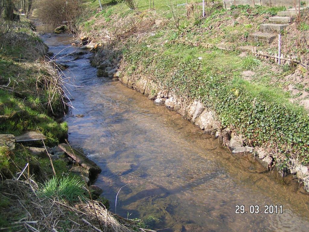 Kanalsicherung und Rampe im Bereich von Nieder-Kinzig Wasserrahmenrichtlinie In Kooperation mit dem