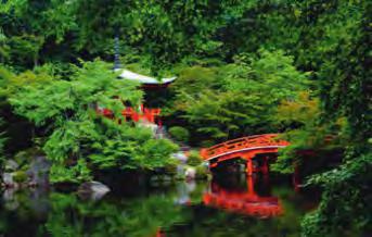 in Nara Japanese wisteria on a torii at Kasuga-Taisha in Nara Ginkaku-ji, der Tempel des Silbernen Pavillons in Kyoto Ginkaku-ji, the temple of the silver pavilion in Kyoto Muster aus Steinen und