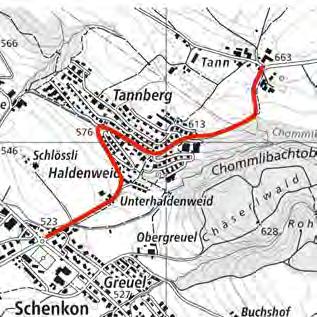 gemeinsamer Rad-/Gehweg bergwärts. Vorstudie Zellfeld - Tannberg vom 25.08.2015, rev. 01.10.
