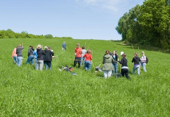 Buchbare Module des Umweltbildungsprogramms > Damwildfütterung > Weidenwerkstatt > Team