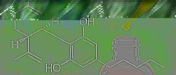 Cannabidiol (CBD) Cannabinoid ohne THC-ähnliche Effekte, aber psychoaktiv