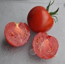 Fleischige, herzförmige rote Tomate mit bis zu 700 g schweren Früchten.