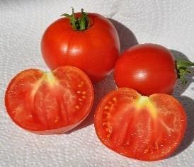 Bild: Zollinger TOM 050 Tomate tres Cantons Tres Cantos ist eine hellrote bis rosa-farbene, runde Tomate mit einem Gewicht von ca. 200 Gramm.