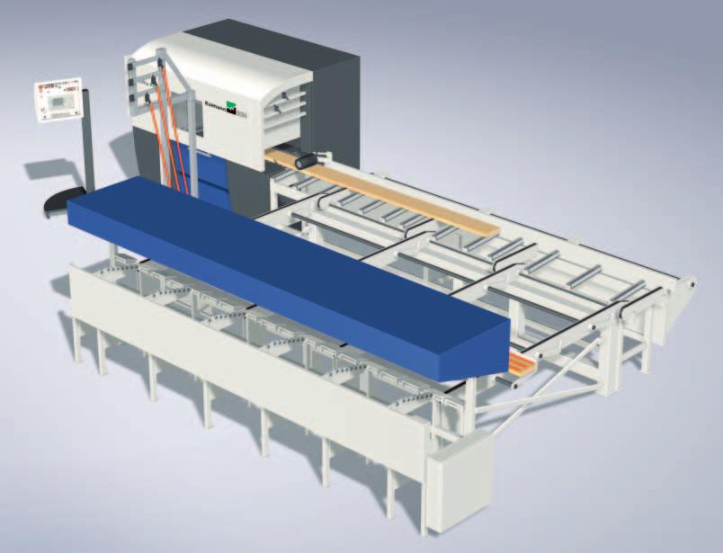 8 9 RaiMech E7 Vollautomatische Materialvermessung und vollautomatischer Materialtransport Die Bretter werden im Durchlauf vermessen.