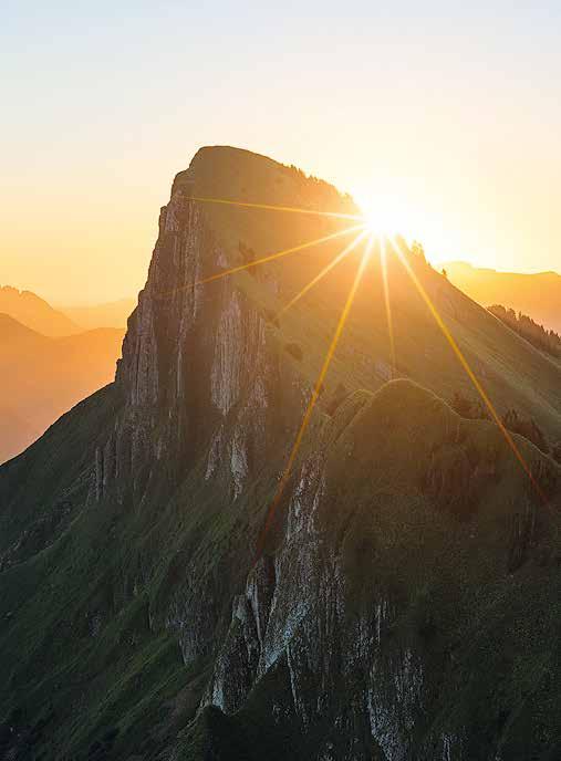 Alpine Meditation, Tierberg,