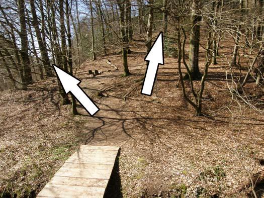 27.) Nach Holzsteg zwei parallel verlaufende Wege zur Wahl (Wegweiser ignorieren): - halb rechts