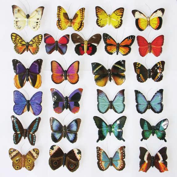 Set/A, Schmetterlinge x