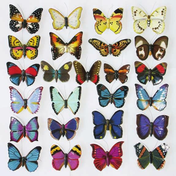 00 Set /B Schmetterlinge x