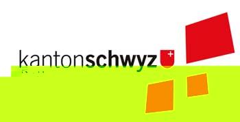 Regierungsrat des Kantons Schwyz Spitalstrategie 2020 Bericht
