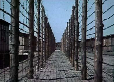 - Das Elend der Zwangsarbeiter Zwangsarbeiter sind vorwiegend aus Polen und Russland ins Deutsche Reich verschleppt worden.